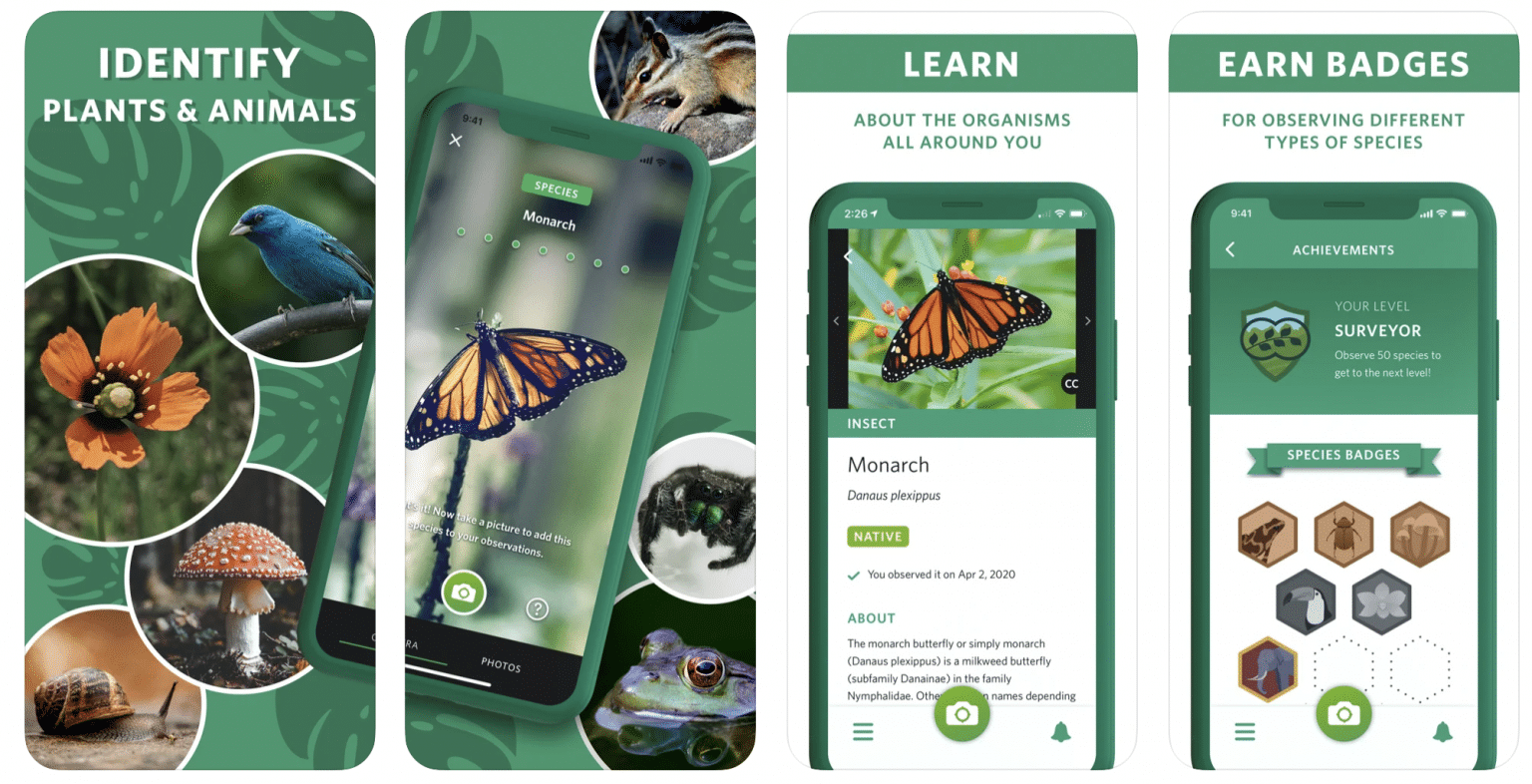 seek-by-inaturalist | Mobile Marketing Reads