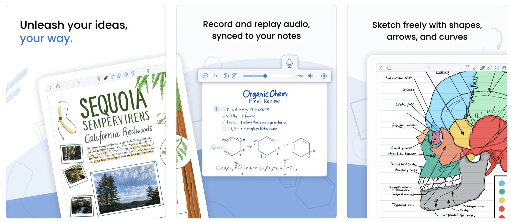 growly notes ipad