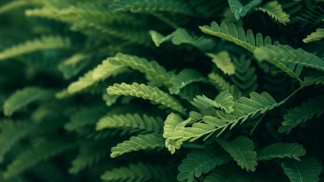 hot-apps-mobile-marketing-reads