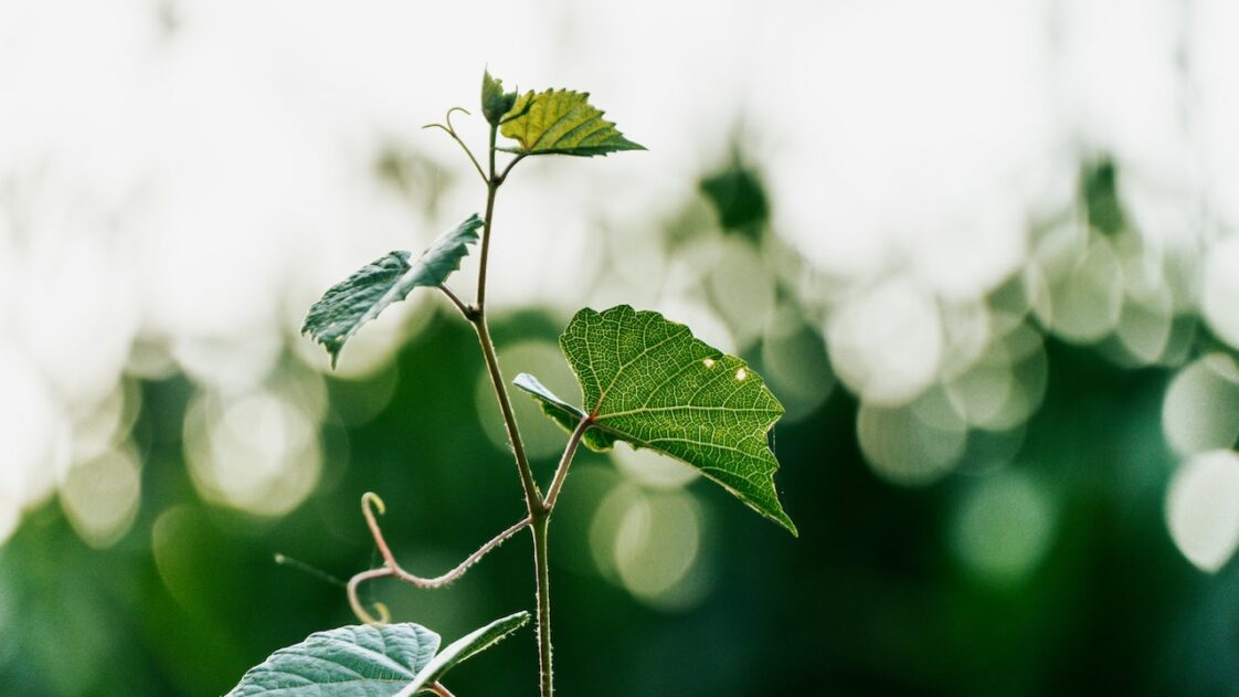 hot-apps-mobile-marketing-reads