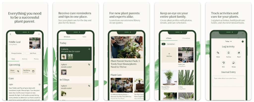 vera – mobile marketing reads