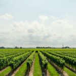 best-agriculture-apps – mobile marketing reads