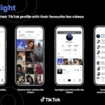 tiktok-fan-spotlight – mobile marketing reads